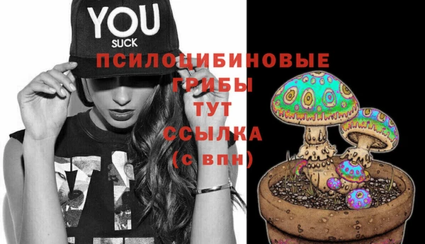 2c-b Лихославль