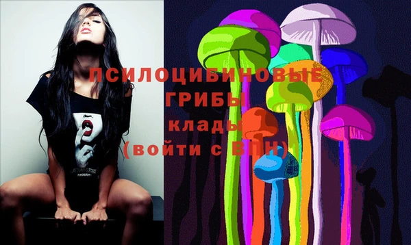 МДПВ Лиски