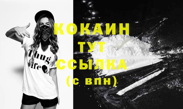 МДПВ Лиски