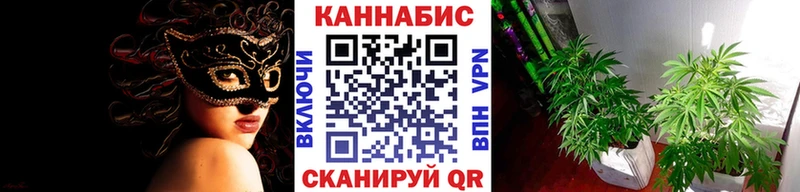 Бошки марихуана марихуана  Купить закладки  Новый Оскол 